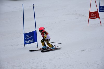 skirennen280216 192.JPG