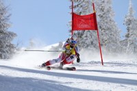 IMG 5853