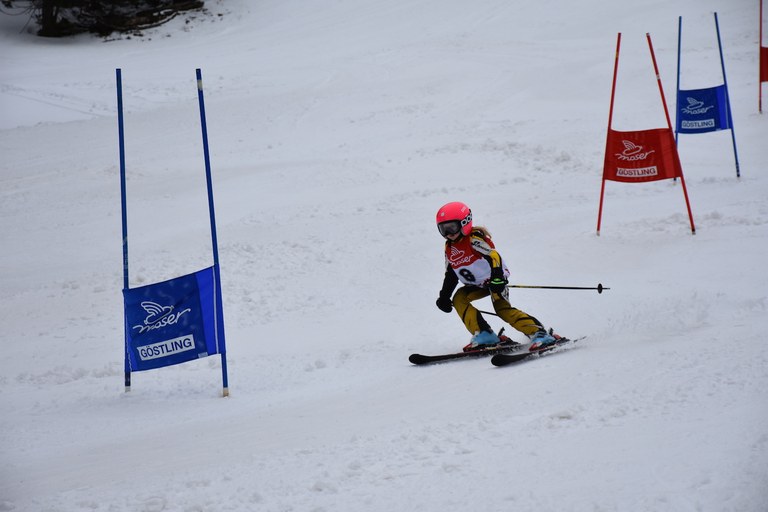 skirennen280216 191.JPG