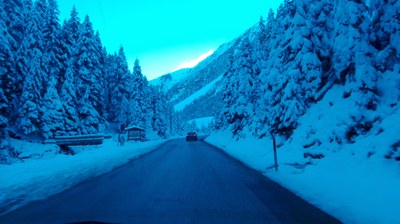 IMG_20161114_074057.jpg